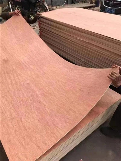 전체 포플러 코어 천연 나무 베니어 합판